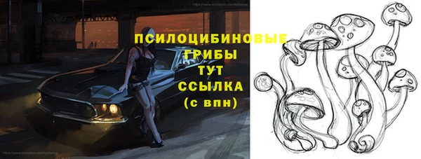 ешки Балахна