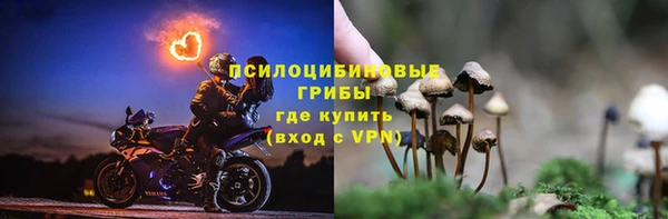 ГАЛЛЮЦИНОГЕННЫЕ ГРИБЫ Баксан