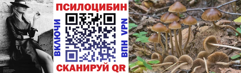 Псилоцибиновые грибы прущие грибы  hydra ссылки  Горно-Алтайск 
